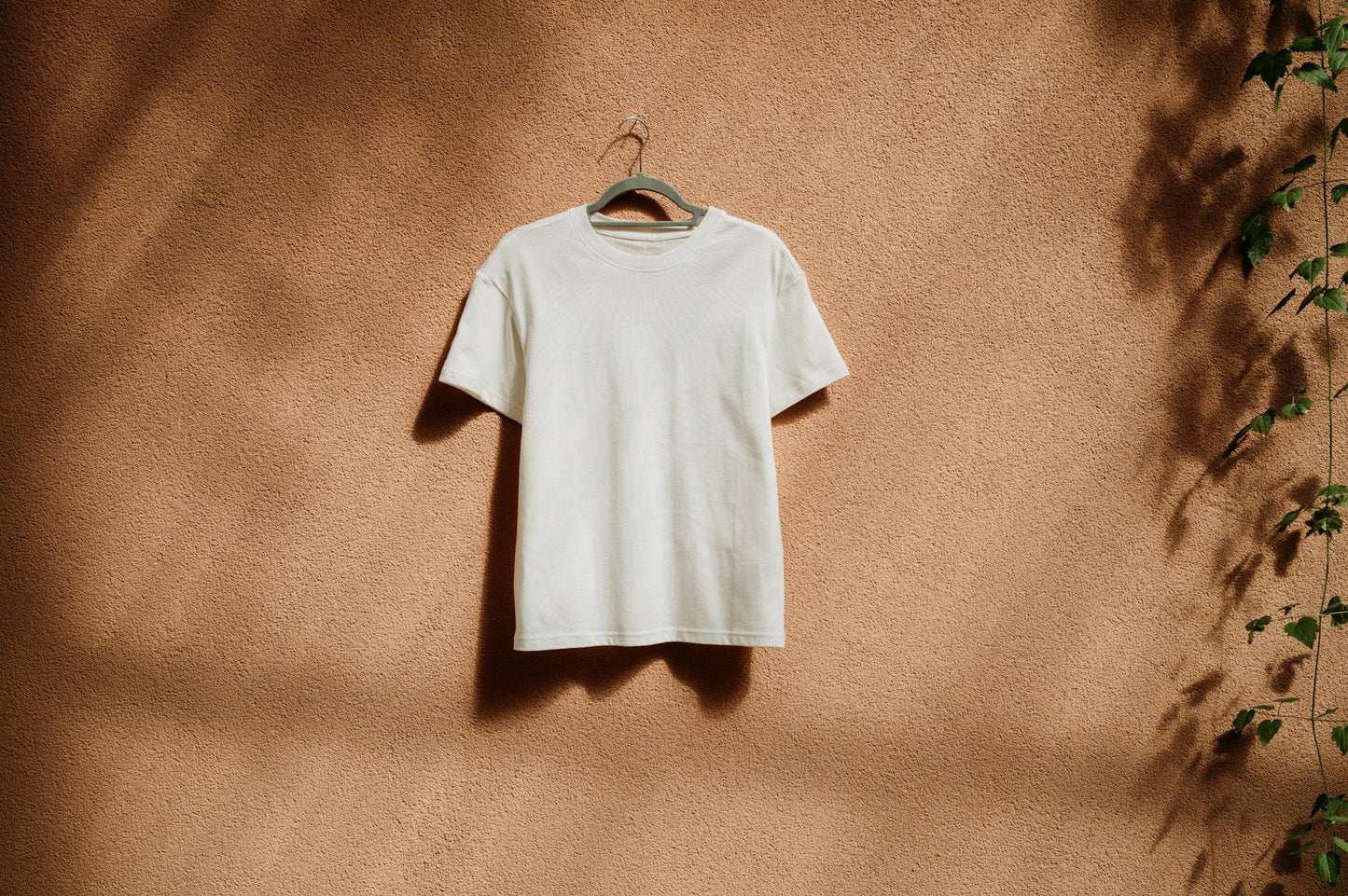 organic t-shirt